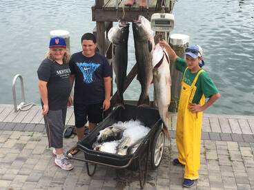 Montauk Report Photo 2