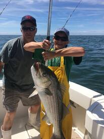 Montauk Report Photo 1