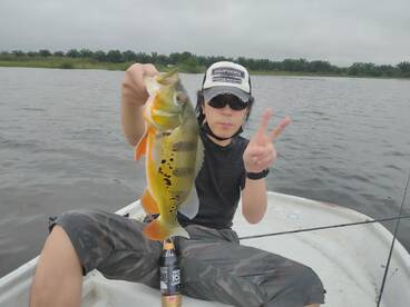 Peacock bass fishing 