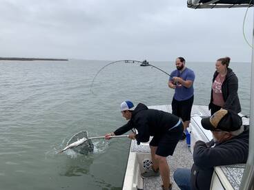 Aransas Pass Report Photo 1
