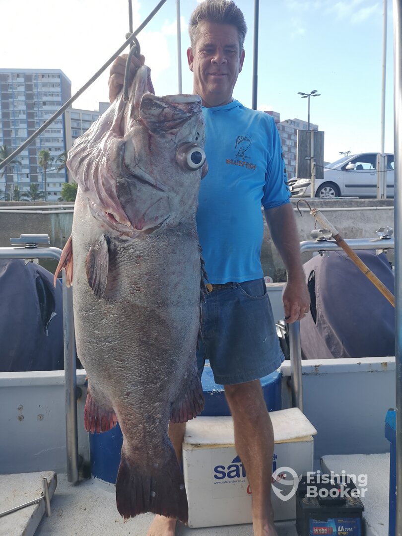 Durban Report Photo 0