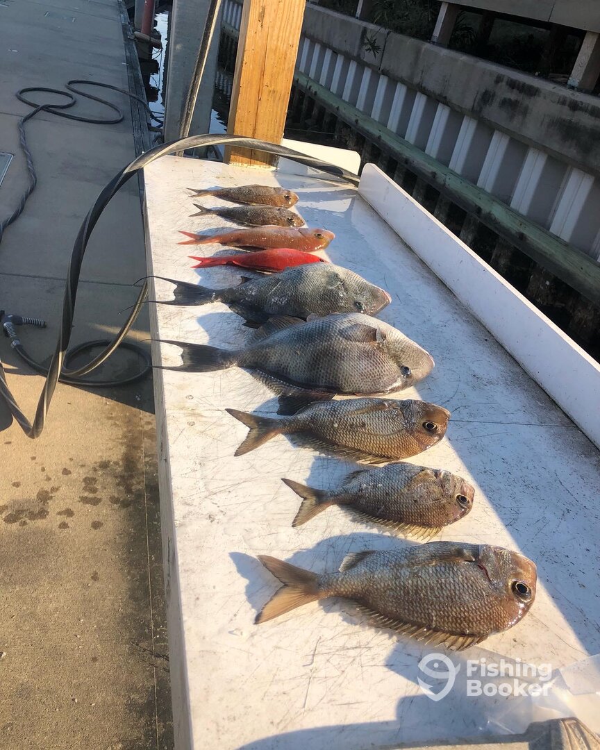 Destin Report Photo 0