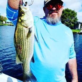 Delray Beach Report Photo 2