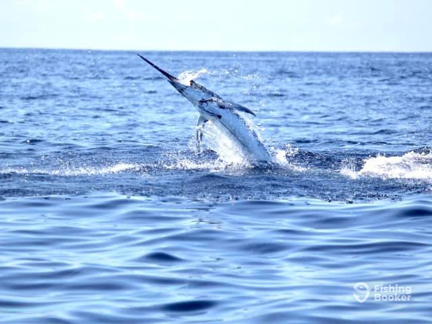 Quepos Report Photo 0