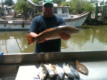 Spawning Underway