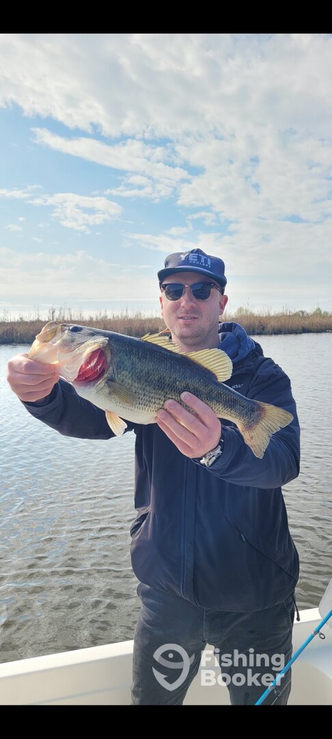 New Orleans Report Photo 0