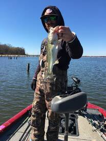 Quitman Report Photo 1