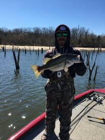 Quitman Report Photo 2