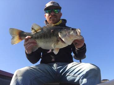 Lake Fork Fishing Report