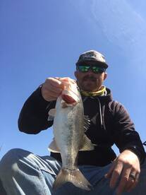 Quitman Report Photo 1