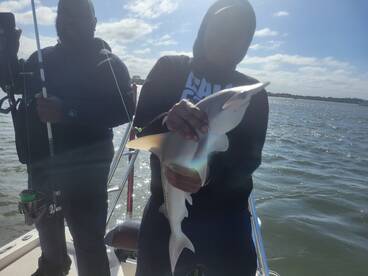 Port Orange Report Photo 2