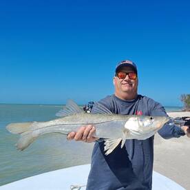 St. Petersburg Report Photo 1