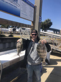 Destin Report Photo 1