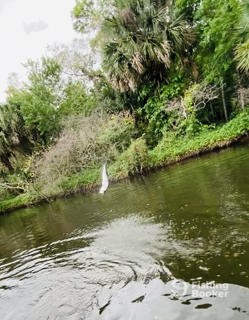 Palm Bay Report Photo 0