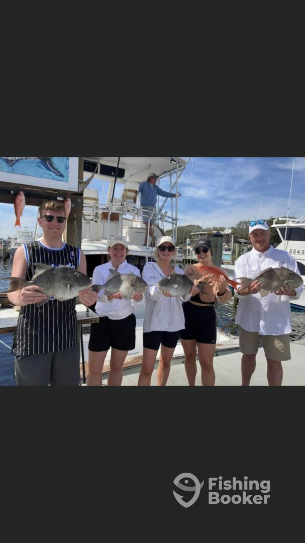 Destin Report Photo 0