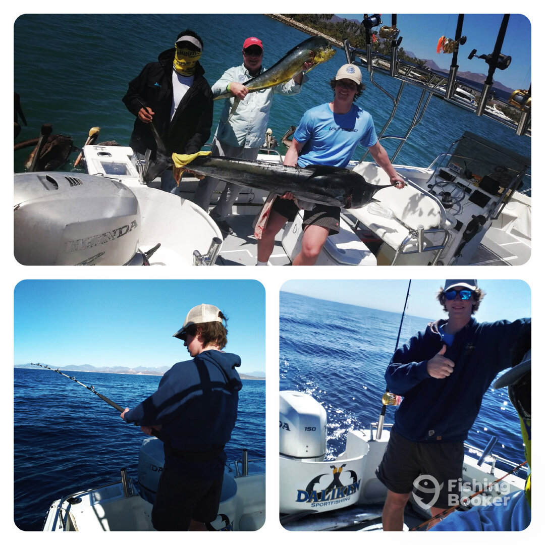 San Jose del Cabo Report Photo 0