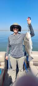 Port Isabel Report Photo 2