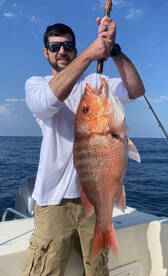 Red Snappers are HUNGRY!!!