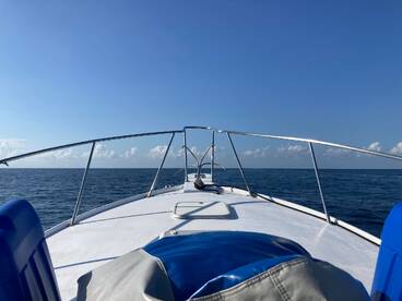 Quepos Report Photo 1