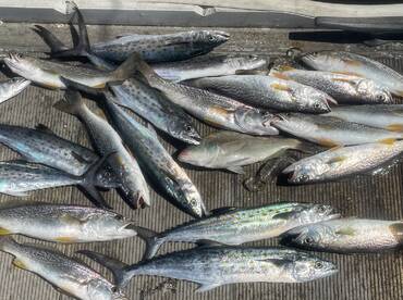 Port Orange Report Photo 2