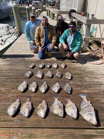 Beautiful Weather - Loads of Fun