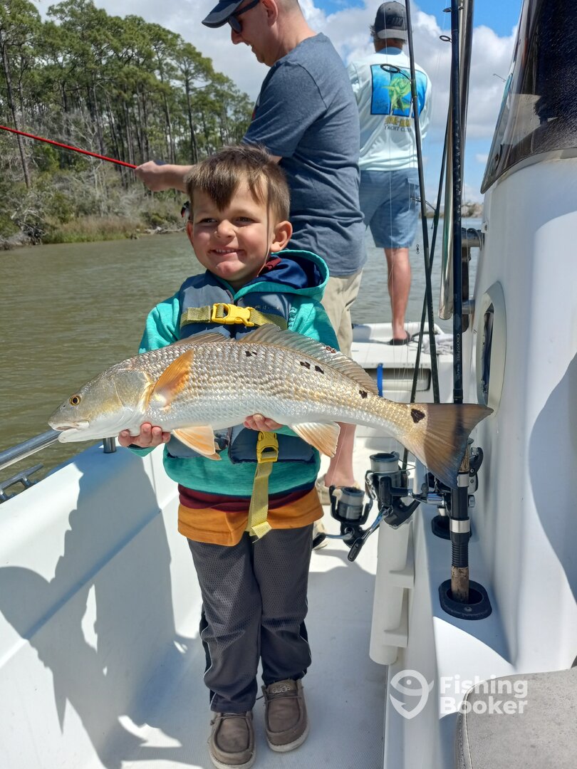 Gulf Shores Report Photo 0