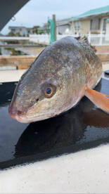 March Fishing Report