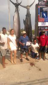 Puerto Vallarta Report Photo 2