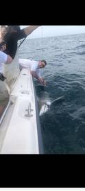 Clearwater Report Photo 1