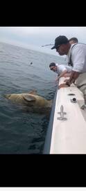 Clearwater Report Photo 2