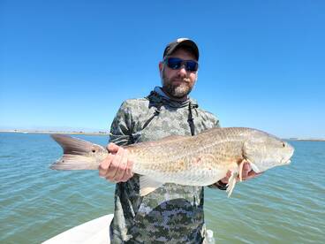 Galveston Report Photo 2