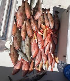 Madeira Beach Report Photo 2