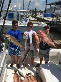 Madeira Beach Report Photo 1