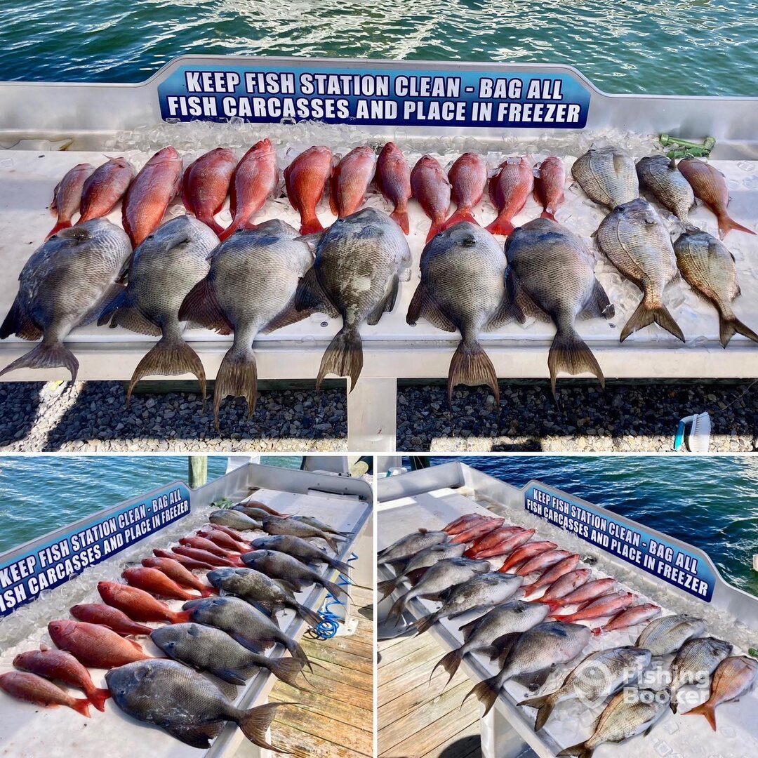 Shalimar Report Photo 0