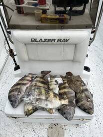 Inshore bite is on fire