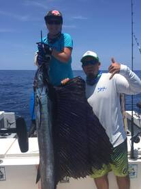 Puerto Vallarta Report Photo 2