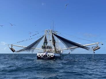 Stock Island Report Photo 1