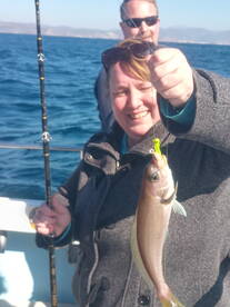 Ensenada Report Photo 1
