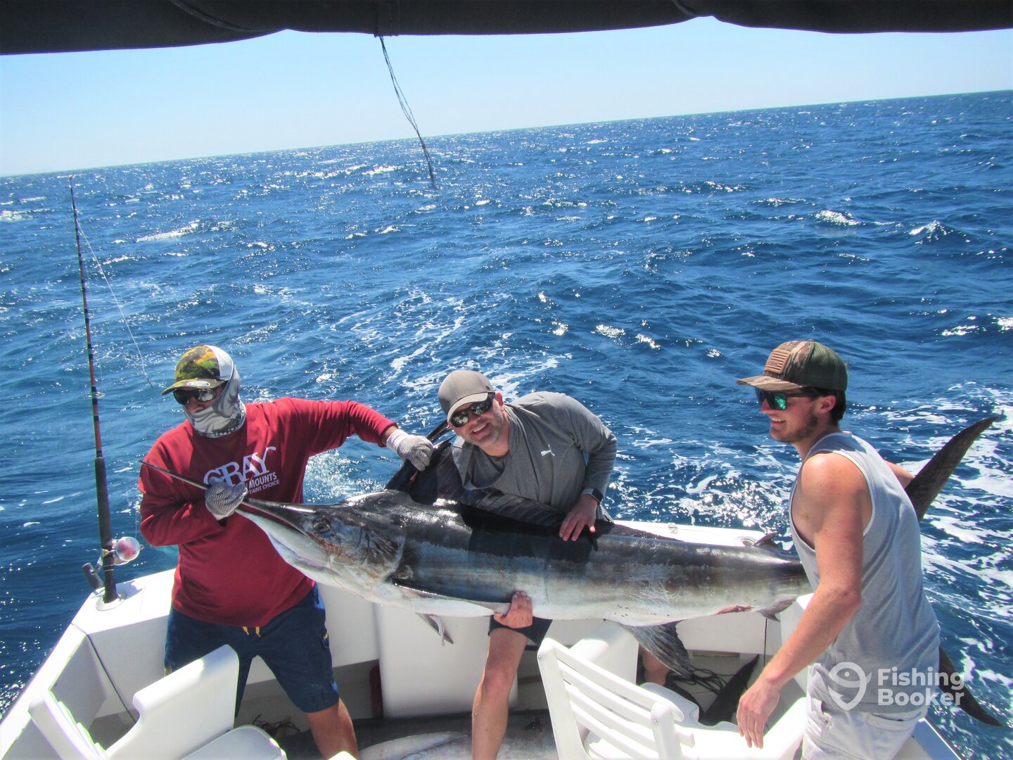 Cabo San Lucas Report Photo 0
