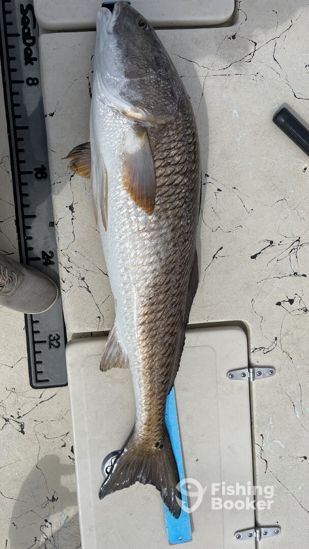 Santa Rosa Beach Report Photo 0