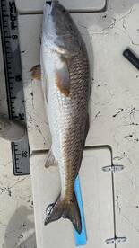 Happily hooked up…. at least one of us!!