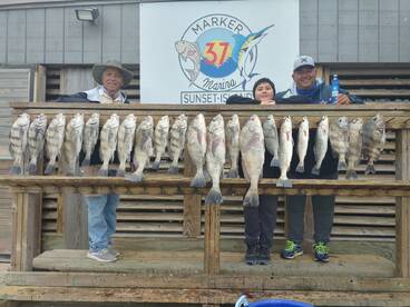 Capt.OBT (Albert Soliz)