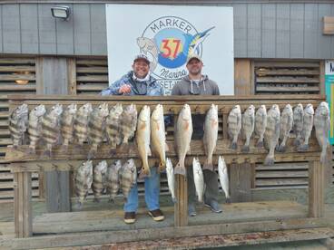 Capt.OBT (Albert Soliz)