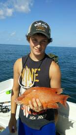 Hogfish
