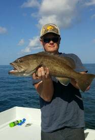 Summer fishing great so far