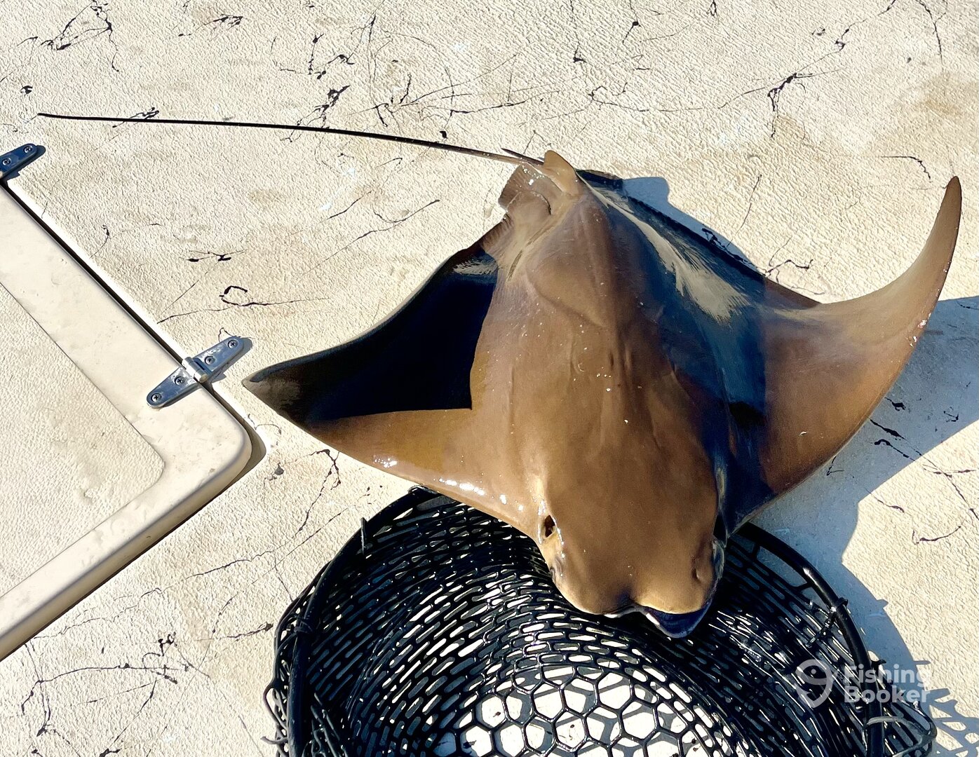 Santa Rosa Beach Report Photo 0