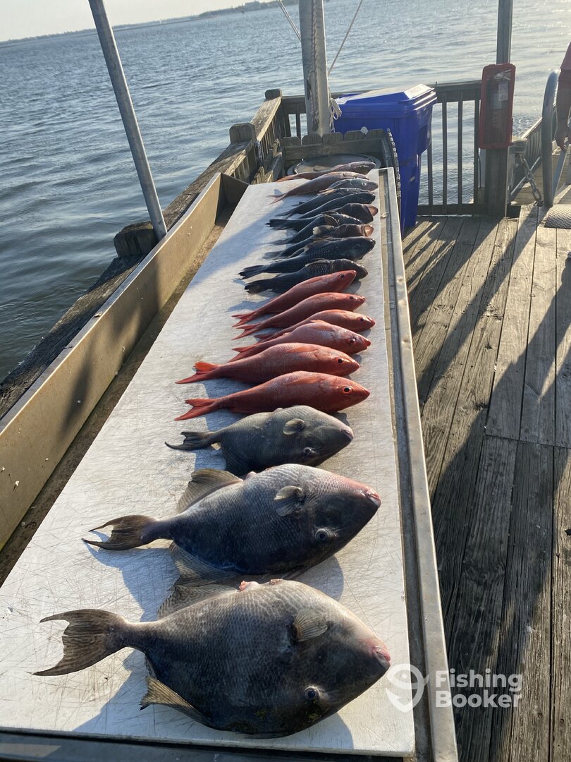 Mount Pleasant Report Photo 0