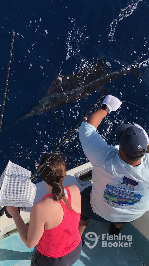 Boynton Beach Report Photo 0