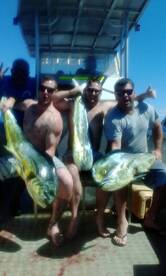  Its Mahimahi Time