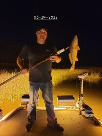 Dauphin Island Report Photo 1